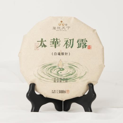 【太华初露】2025年白毫银针饼 商品图0