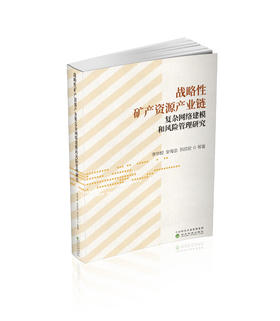 战略性矿产资源产业链复杂网络建模和风险管理研究
