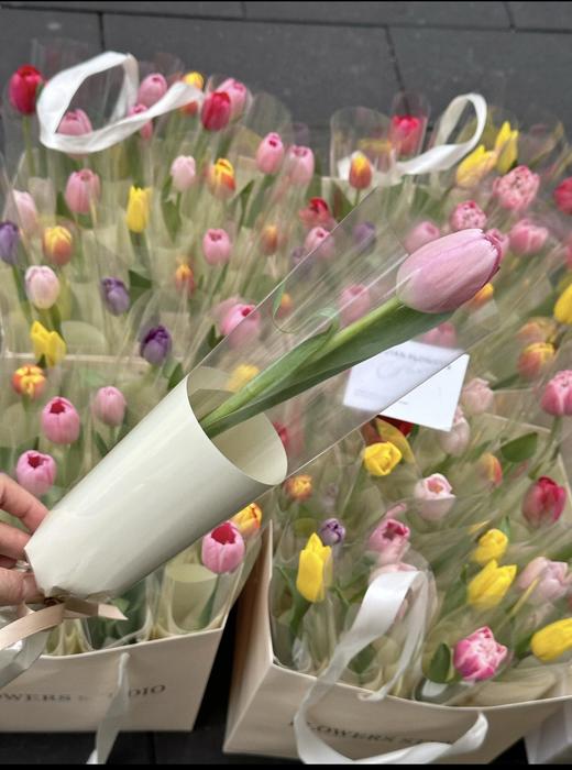 单支郁金香（默认颜色随机、下单备注颜色） 商品图1