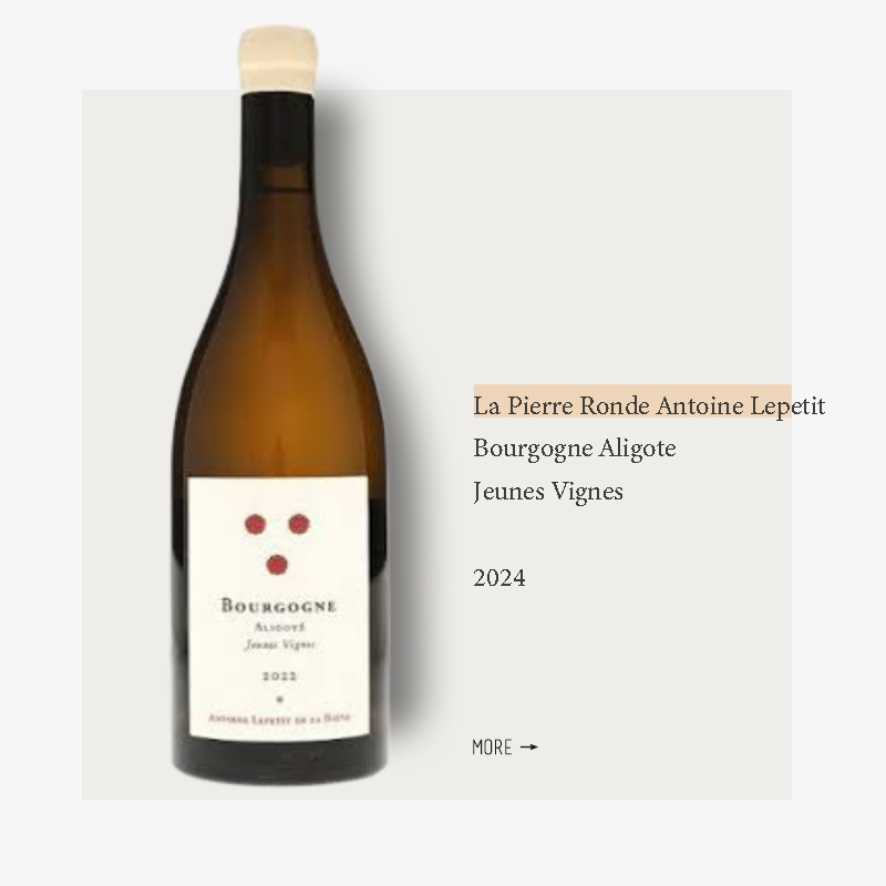 La Pierre Ronde Antoine Lepetit Bourgogne Aligote Jeunes Vignes 2024 Blanc圆石酒庄年轻阿里高特干白葡萄酒2024
