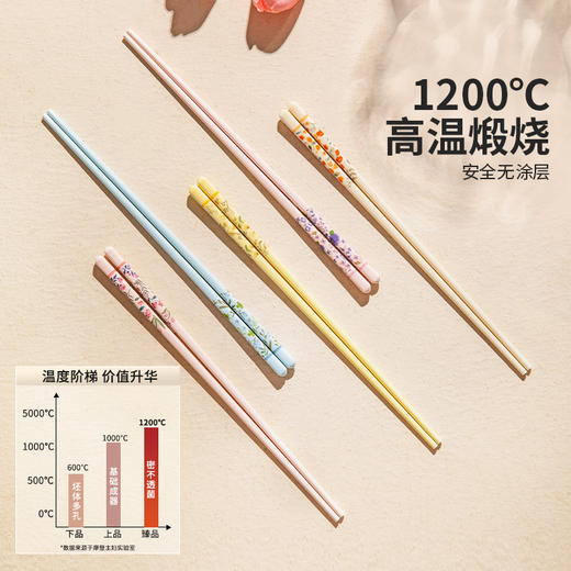 摩登主妇繁花陶瓷筷子家用2026新款高档抗菌防霉个人专用一人一筷 商品图2