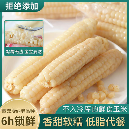 西双版纳拇指小玉米 轻食新宠  低脂代餐，饱腹感强，健康新选择！ 商品图0