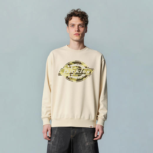 Dickies经典美式复古毛圈布圆领卫衣 前中绒毛印花LOGO卫衣男女 DK0A88N1 商品图2