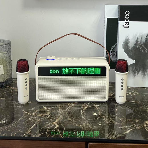 热卖中！【15天免费试用】沃品便携K歌蓝牙音箱AP09 自带双麦克风 显示歌词 商品图6