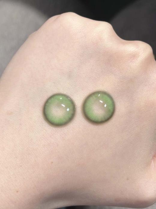 Kirafairy（kirafairy） 日抛(十片装) 鹦鹉螺  直径14.5mm 商品图3