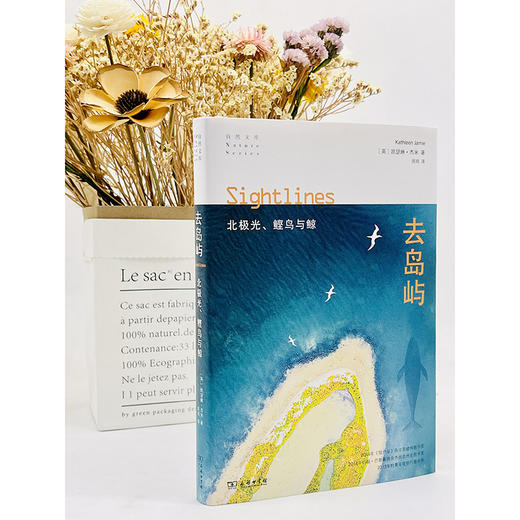 去岛屿：北极光、鲣鸟与鲸(自然文库) 商品图1
