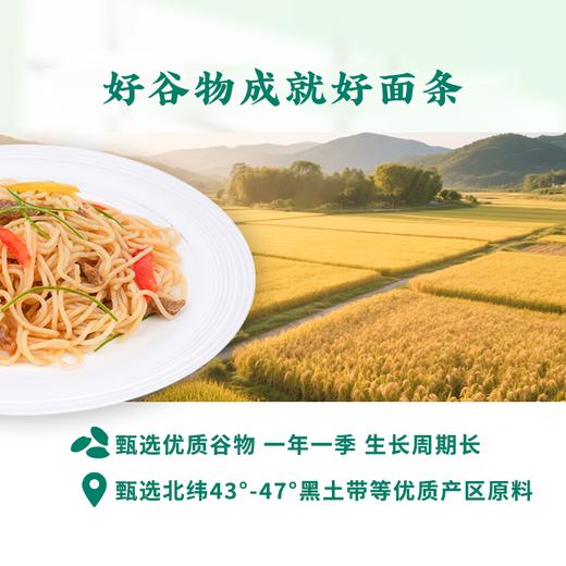 谷品新约 无麸质小米拉面无小麦无白面粉粗粮0钠0脂桥本敏宝饮食早餐 商品图3