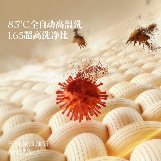 OIDIRE【双子星】双桶内衣洗衣机 双仓内裤洗衣机洗袜子专用洗衣机双舱迷你洗衣机洗脱烘全自动 ODI-XYJ22 无刷电机-高温煮洗烘-洗衣机 商品图1