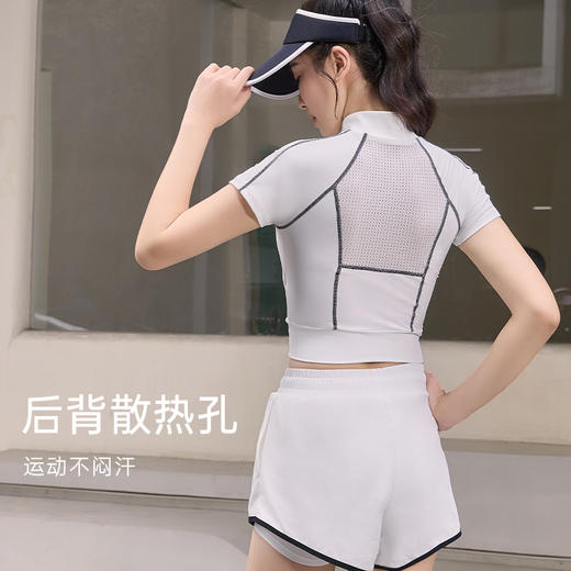 【SW速惟】运动短裤6013【有且只有短裤】 商品图3