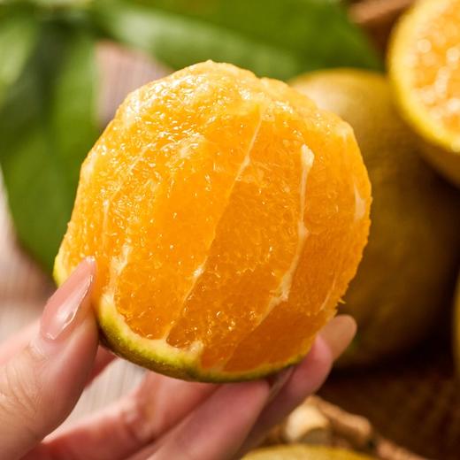 【果蔬精选】秭归巧克力橙 又称黑美人脐橙  果皮超薄 酸甜爆汁 原产地现摘现发 商品图2
