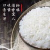 【五常直供❗️东北黑土培育大米】自有基地种植，当季新米，米香四溢！细腻润滑新五常大米东北大米包邮真空五斤十斤装长粒米 商品缩略图3