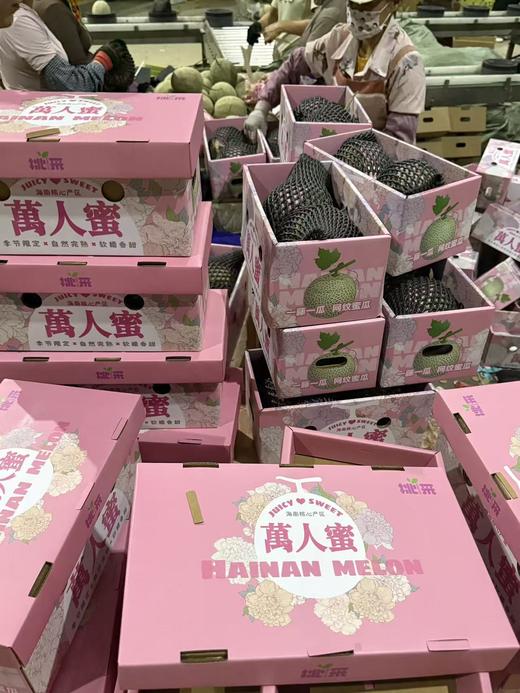 【顺丰快递】海南牛三蜜瓜 网纹瓜 2粒礼盒装 新鲜当季水果  - ATX 商品图2
