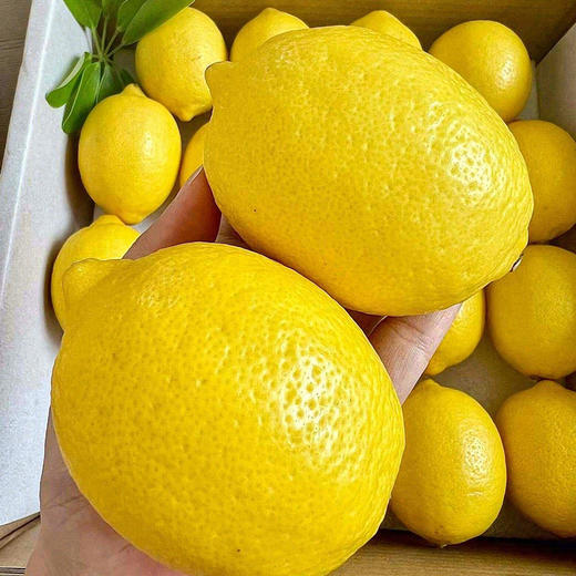 云南高原黄柠檬  皮薄肉厚多汁  口感酸爽  富含vc  一天一杯柠檬水 活力满满 商品图0