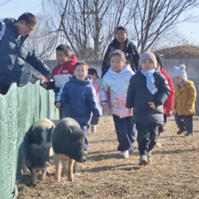 【春季抓猪】周六日/3月｜春日去哪狂欢？植树+追猪，解锁家庭周末新体验！