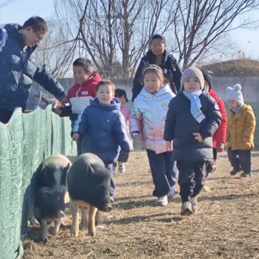 【春季抓猪】周六日/3月｜春日去哪狂欢？植树+追猪，解锁家庭周末新体验！ 商品图0