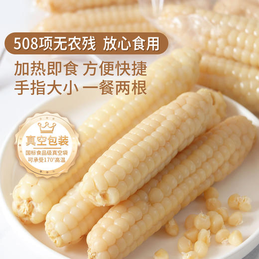 西双版纳拇指小玉米 轻食新宠  低脂代餐，饱腹感强，健康新选择！ 商品图1