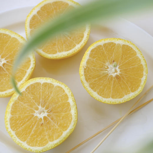 柠檬蜜橘 | 雪峰山生态种植 果肉饱满 清香四溢 脆嫩爆汁 既有柠檬的清香 又有蜜橘的甜蜜 维C满满 商品图4