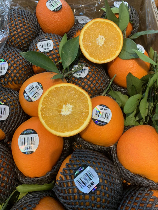 精品当季国产脐橙一斤 商品图0