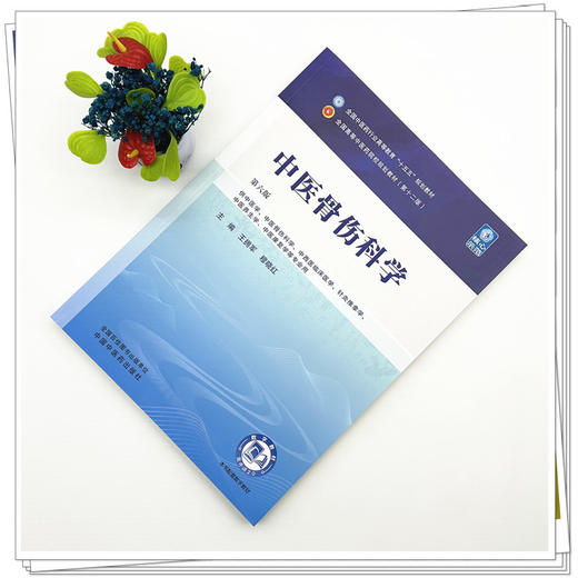 中医骨伤科学 王拥军 穆晓红 主编（第六版）全国中医药行业高等教育十五五规划教材第十二版书 中国中医药出版社 商品图1