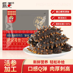 热卖中！！【顺丰直发】忘舌特级鲜食海参 6头帝王参 免泡发 500g/包
