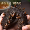热卖中！！【顺丰直发】忘舌特级鲜食海参 6头帝王参 免泡发 500g/包 商品缩略图7