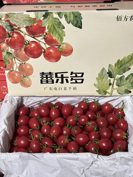 广东电白千禧特级果一箱 商品图0