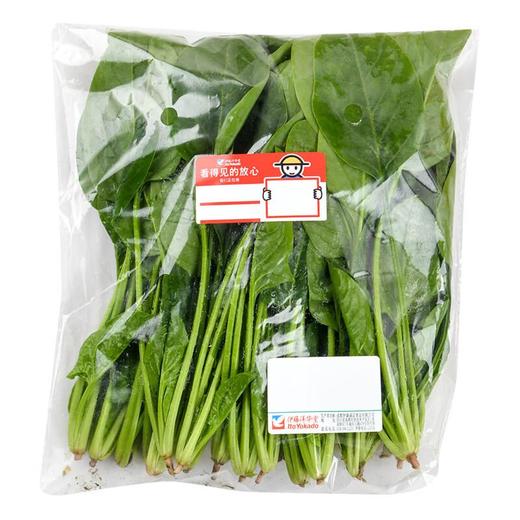 【福利官】放心嫩嫩菜(菠菜) 200g/袋 商品图0