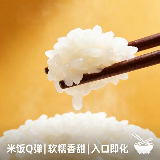 【东滩绿港】东滩鸭稻米（2.5kg真空包装） 商品图4