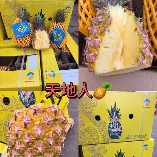 【鲜/切海南凤梨】开吃！口感甜美细腻，解腻助化，让人停不下来啊，买回去无需挖眼，切开即食！ 商品图3