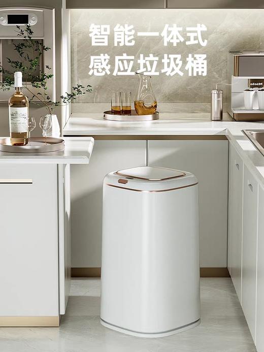 EKO尚古感应环境桶12升 商品图0