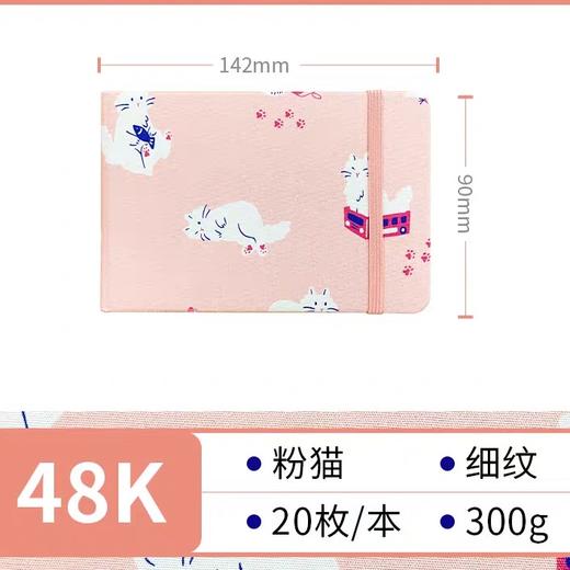 飞乐鸟  木浆布艺水彩写生本 细纹 粉猫142*90mm 20张/本 商品图0