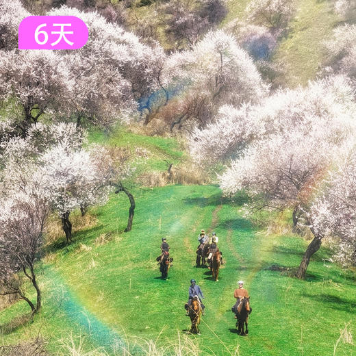 马背·骑跃世界｜库尔德宁+吐尔根杏花沟策马寻花6日 商品图3
