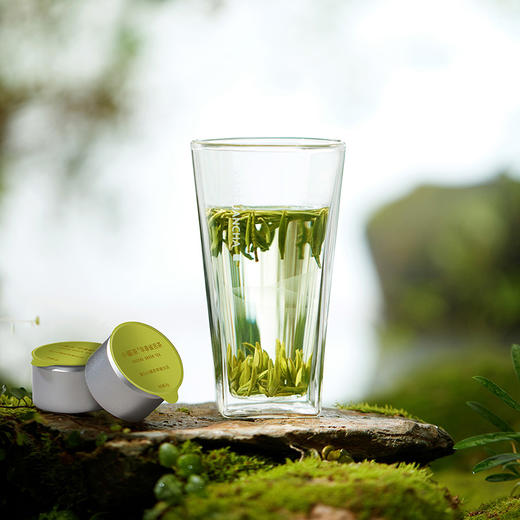 【2026特级早春雀舌】小罐茶  2026特级早春雀舌新茶礼盒装  银罐20罐 80g  【预售】 商品图8