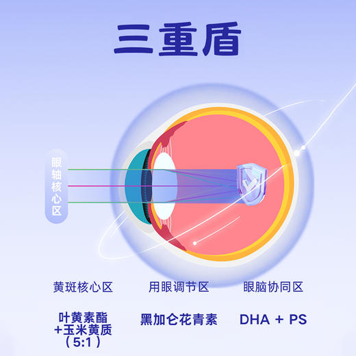 【大南南专属】新西兰HighQ儿童眼脑组合 | 高浓度藻油DHA600mg  叶黄素水剂 商品图2
