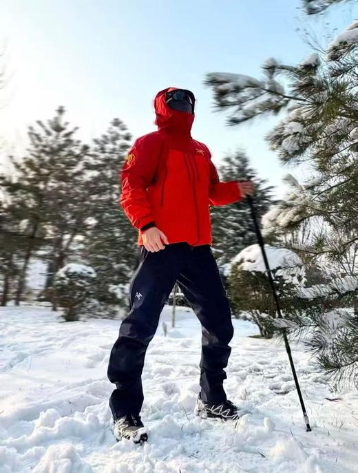 点此购买 始祖鸟男女款马年新春限定骏马刺绣图案GTX硬壳连帽防风防水滑雪衣冲锋衣 ggd 340777 商品图1