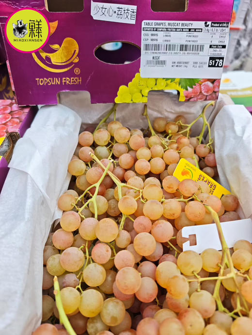 澳洲进口少女心荔枝香葡萄【慕斯卡】原箱3kg 商品图1