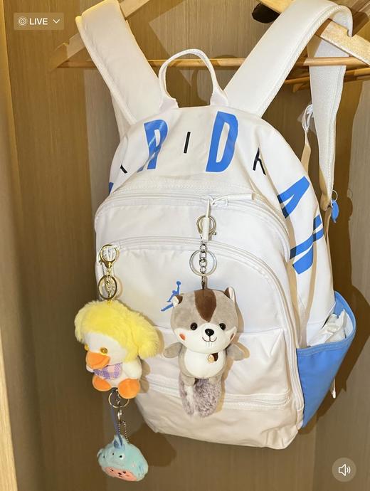 越南回货！！正品订单！！ 白蓝色乔丹Jordan 经典LOGO AJ书包通勤包 双肩包 大号 男女同款情侣款 蓝白拼色！  蓝白拼色aj双肩包 商品图2