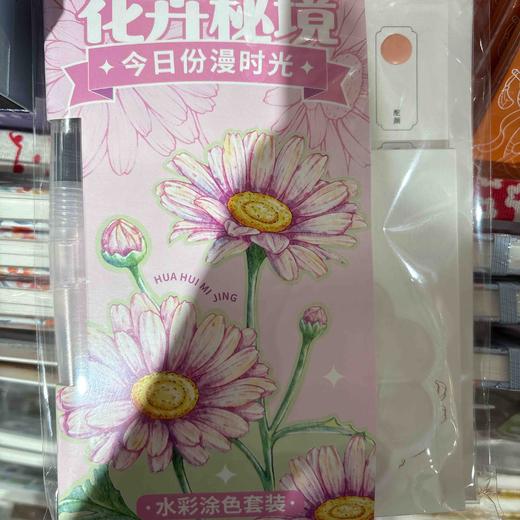 飞乐鸟*CGS06-48-HHMJ今日份漫时光·水彩涂色套装 花卉秘境 商品图0