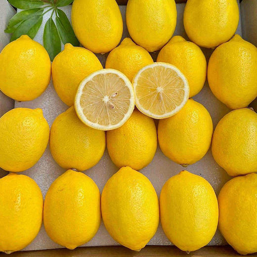 云南高原黄柠檬  皮薄肉厚多汁  口感酸爽  富含vc  一天一杯柠檬水 活力满满 商品图2