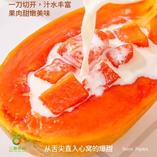 【海南三亚】水果木瓜 现摘现发，细腻香甜，入口即化 直接吃/拌酸奶/炖甜品/打奶昔等吃法多样 商品图4