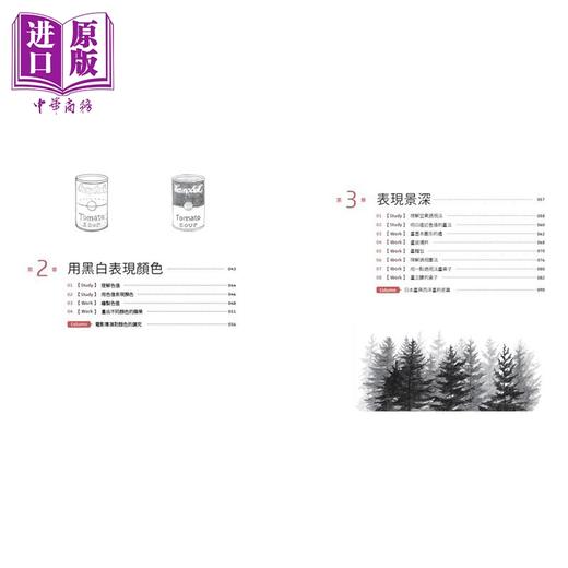 预售 【中商原版】一枝笔就能开始的素描课【光影篇】 港台艺术原版 OCHABI Institute 时报出版 商品图2
