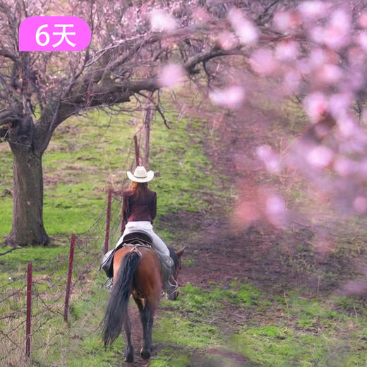 马背·骑跃世界｜库尔德宁+吐尔根杏花沟策马寻花6日 商品图1