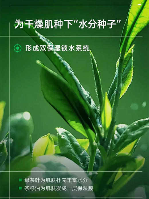 婷美小屋绿茶籽系列套装F 商品图2