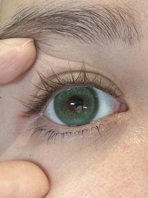 Kirafairy（kirafairy） 日抛(十片装) 鹦鹉螺  直径14.5mm 商品图0