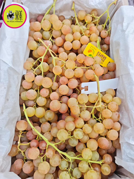 澳洲进口少女心荔枝香葡萄【慕斯卡】原箱3kg 商品图2