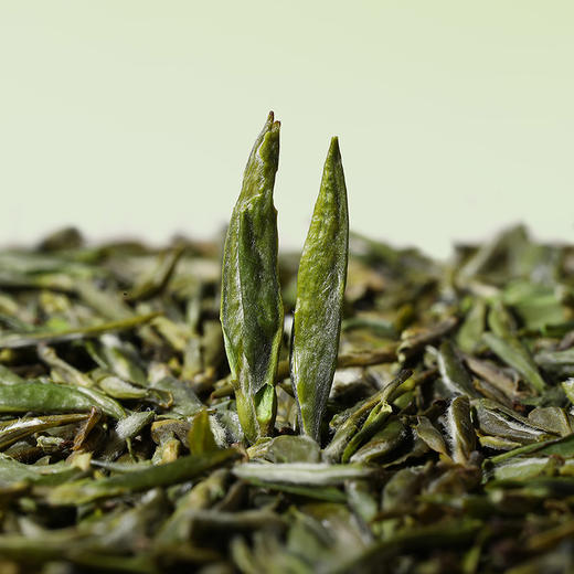 【2026特级早春雀舌】小罐茶  2026特级早春雀舌新茶礼盒装  银罐20罐 80g  【预售】 商品图11