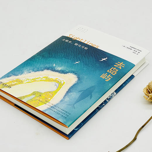 去岛屿：北极光、鲣鸟与鲸(自然文库) 商品图6