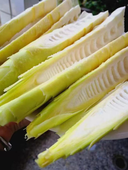 临安天目山雷春笋 商品图2