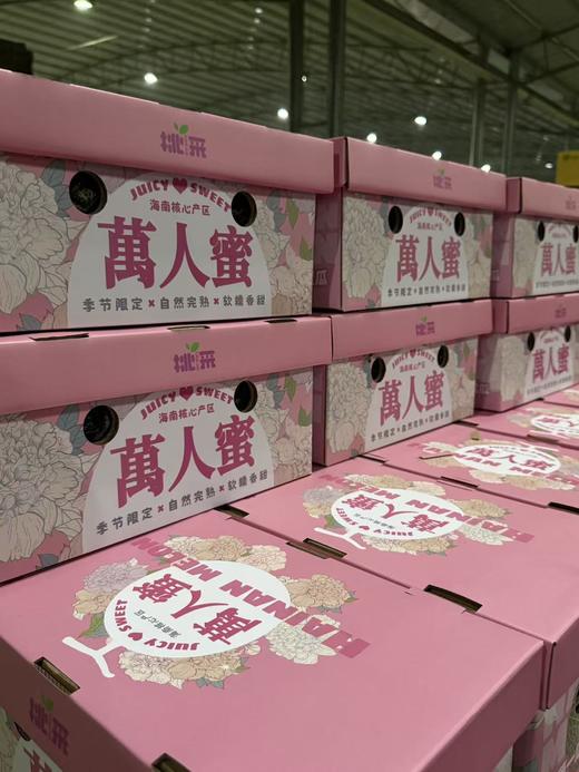 【顺丰快递】海南牛三蜜瓜 网纹瓜 2粒礼盒装 新鲜当季水果  - ATX 商品图3