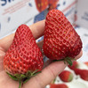 丹东红颜九九草莓-四盒装 商品缩略图5
